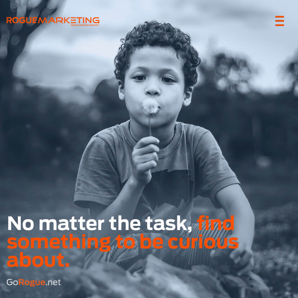 Find something to be curious about